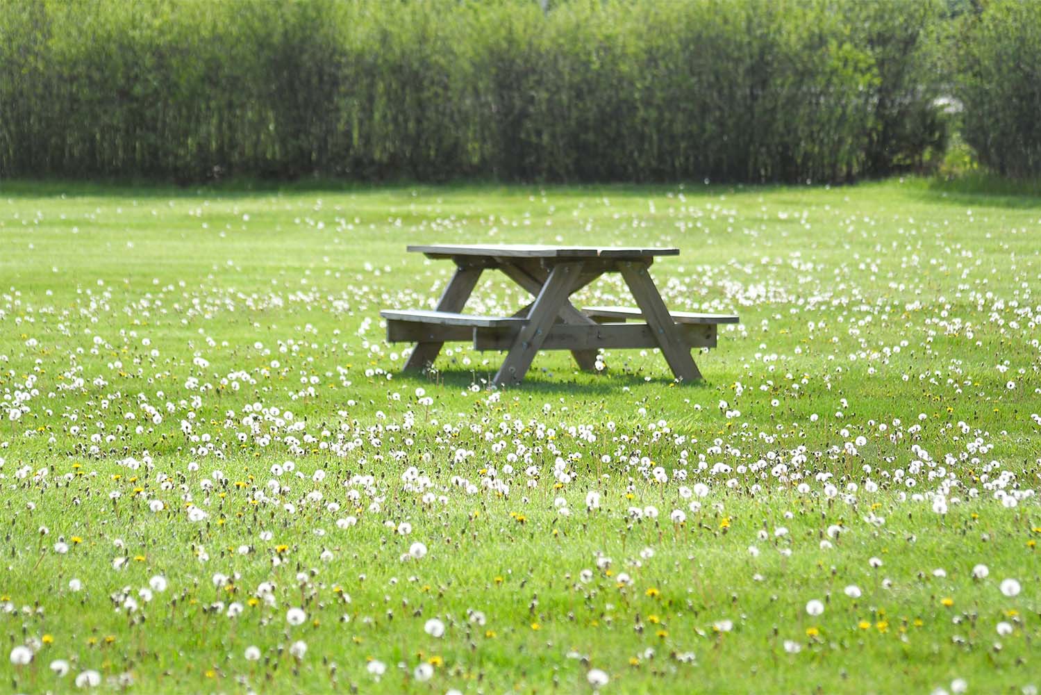 Bench-in-field