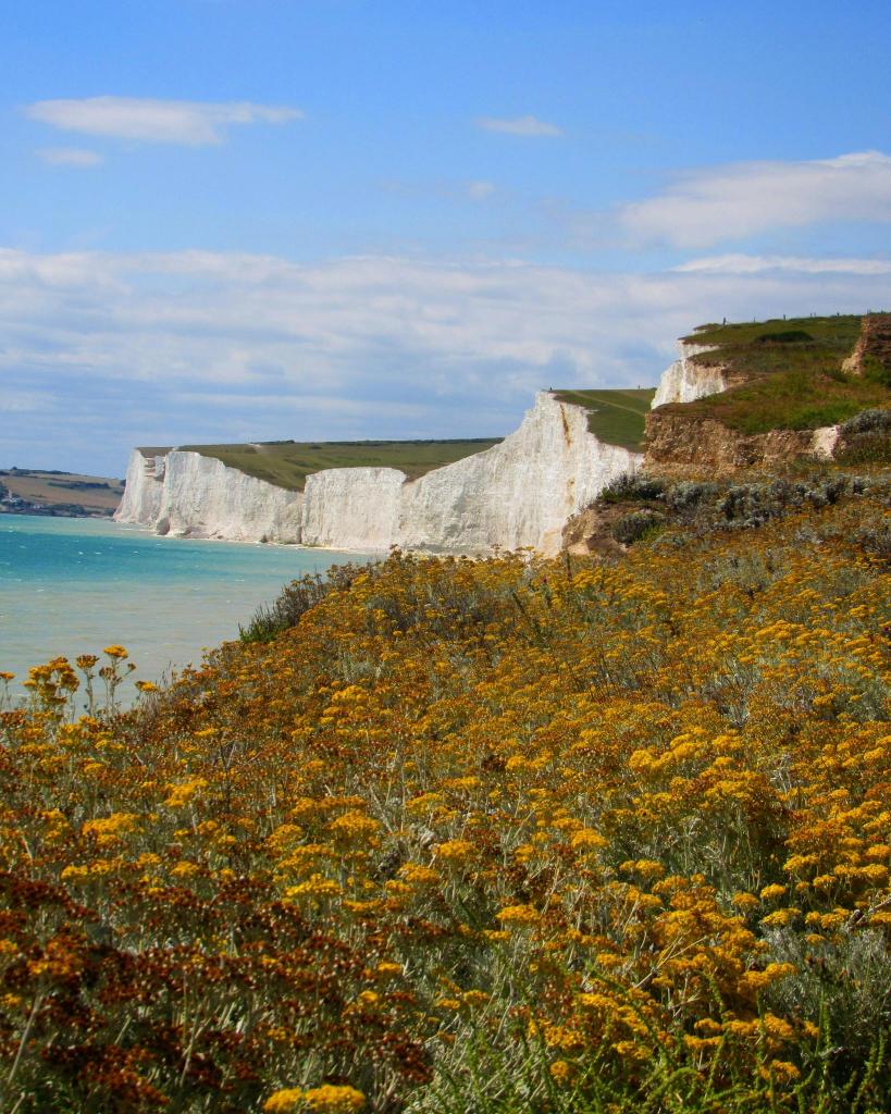 eastbourne-cliffs